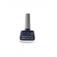 STUDIO RAPID DRY LASTING COLOR - 86